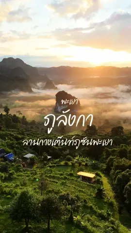 สวยจนแบบอยากร้องไห้มันกลับมาแล้วช่วงนี้สวยมาก #เดินป่าเดินดง #เอเดนเที่ยวพะเยา #ภูลังกา #ลานกางเต๊นท์ภูซัน #CapCut 