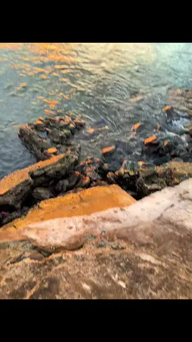 #lagutimur #storytimur #sunset #sunsetvibes #soundtimur 