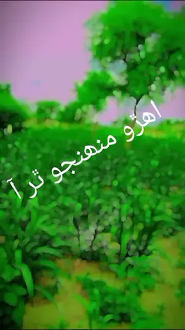 #CapCut @𝗔𝘀𝘀𝗮𝗱 𝗛𝗮𝘀𝘀𝗮𝗻𝗮𝗻𝗶 @younis55 @AHMED KhAN SAMEJo #
