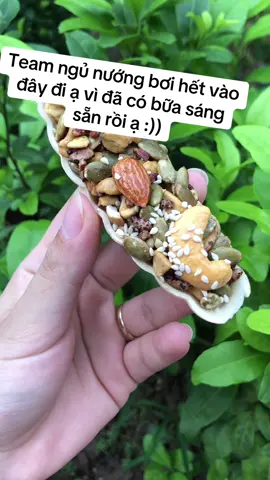 Bánh thuyền mix hạt mùa nào cũng hót ạ #banhthuyenmixhat #tiktok #healthy vừa ngon vừa giàu dinh dưỡng vừa tiện lợi lắm nha