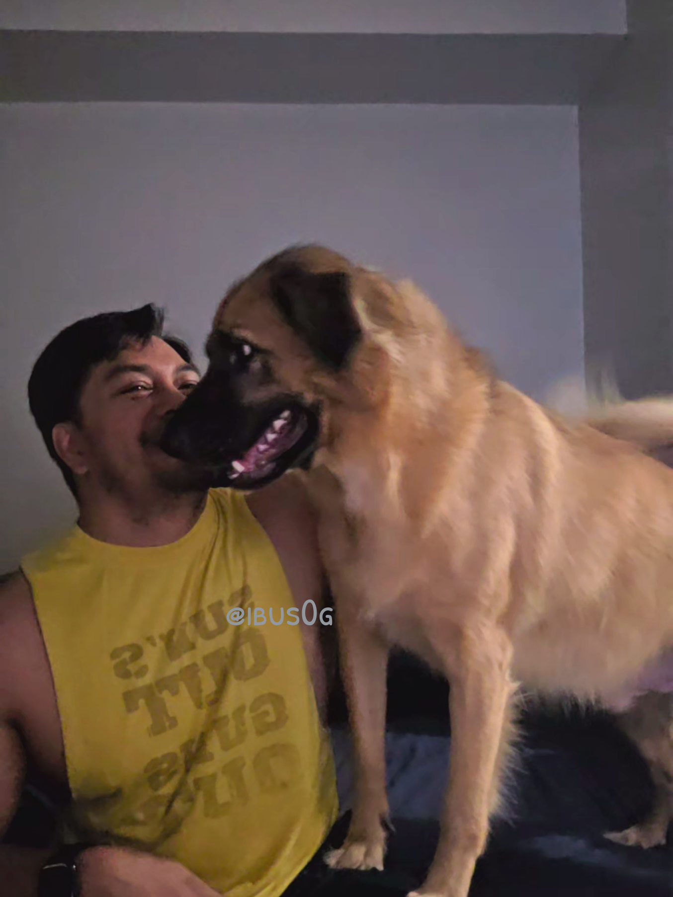 Draft vid with the monster. Matapang po sya. Haha!  #tiktok #pet #dogsoftiktok #dog 