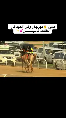 #الهجانه_هديل_الشريف #هجن_الاصلي #النواريه_مكه #كسبلوررررررررر 