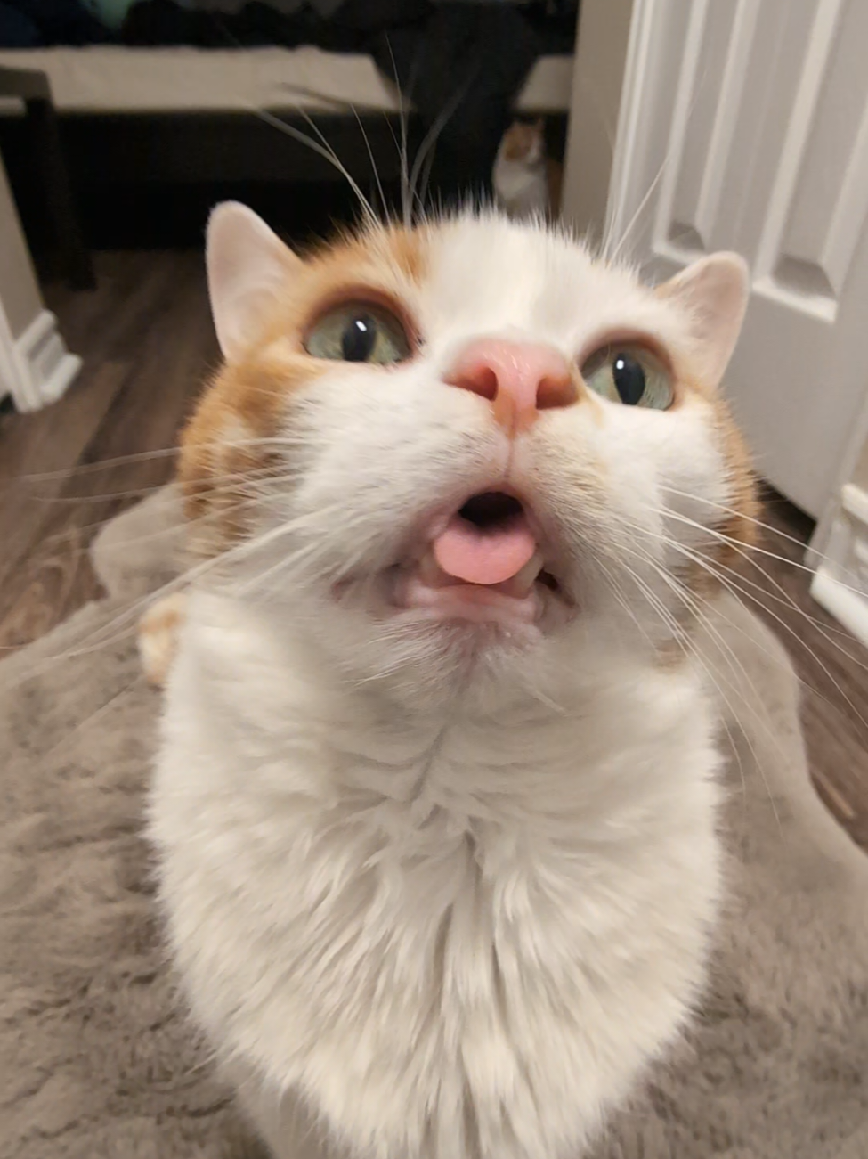 I don't think there's anything in his head