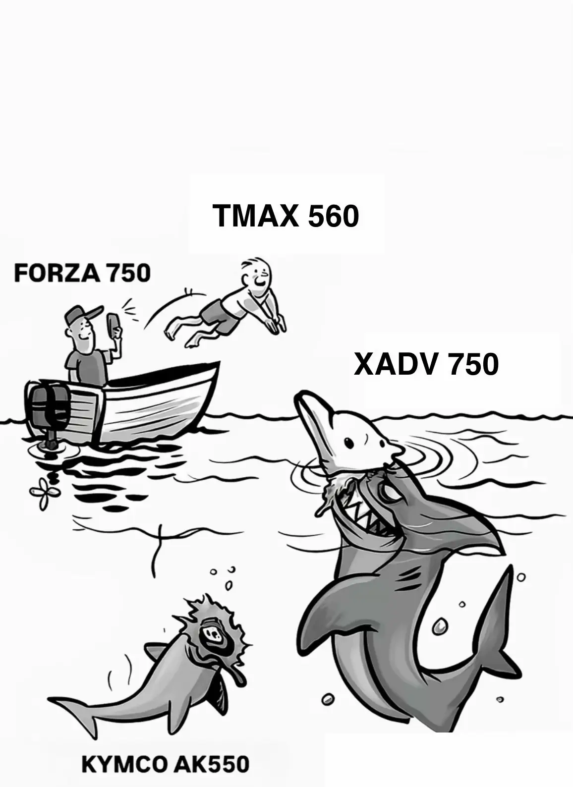 #xadv2025 #tmax560 #fy #hondamotorcycles #hondaxadv750 