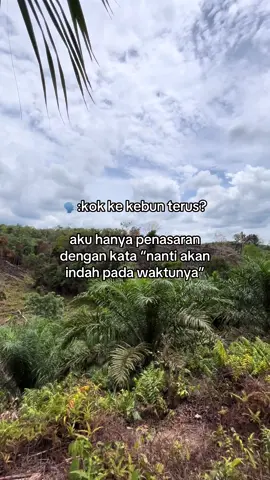 #petanisawit #petanimuda #storysawit #kulisawit #fyp 