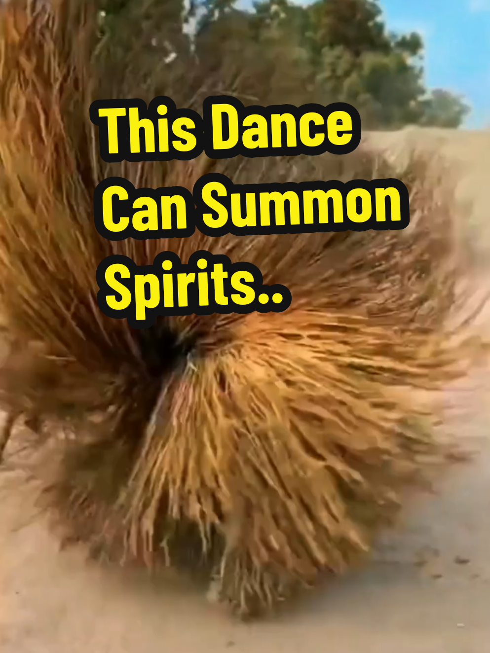 Witness the mesmerizing power of cultural heritage as a performer in an elaborate grass costume dances with incredible energy and precision. This traditional ritual, rooted in ancient African traditions, combines dance, spirituality, and community celebration. Watch as the dancer spins, jumps, and moves in perfect harmony with the rhythm, creating a whirlwind of motion that captivates onlookers. The vibrant crowd and dynamic performance make this a truly unforgettable experience.   Translate - Saksikan kekuatan budaya yang memukau saat seorang penari dengan kostum rumput yang rumit menari dengan energi dan ketepatan luar biasa. Ritual tradisional ini, yang berasal dari tradisi Afrika kuno, menggabungkan tarian, spiritualitas, dan perayaan komunitas. Saksikan penari berputar, melompat, dan bergerak secara harmonis dengan irama, menciptakan pusaran gerakan yang memukau penonton. Keramaian yang bersemangat dan pertunjukan dinamis membuat momen ini benar-benar tak terlupakan. #AfricanTradition #CulturalDance #TraditionalRitual #AmazingPerformance #AfroCulture 