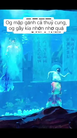 Ai bơi nhiều mà  giảm dc cân chưa cho tui ý kiến đi #xuhuong #haihuoc #nangtienca #thinhhanh #cliphai 