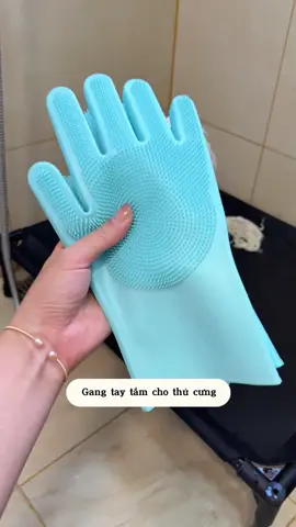 #baotaytamchocho #cunyeu #fyp #dog #bunquystoc 