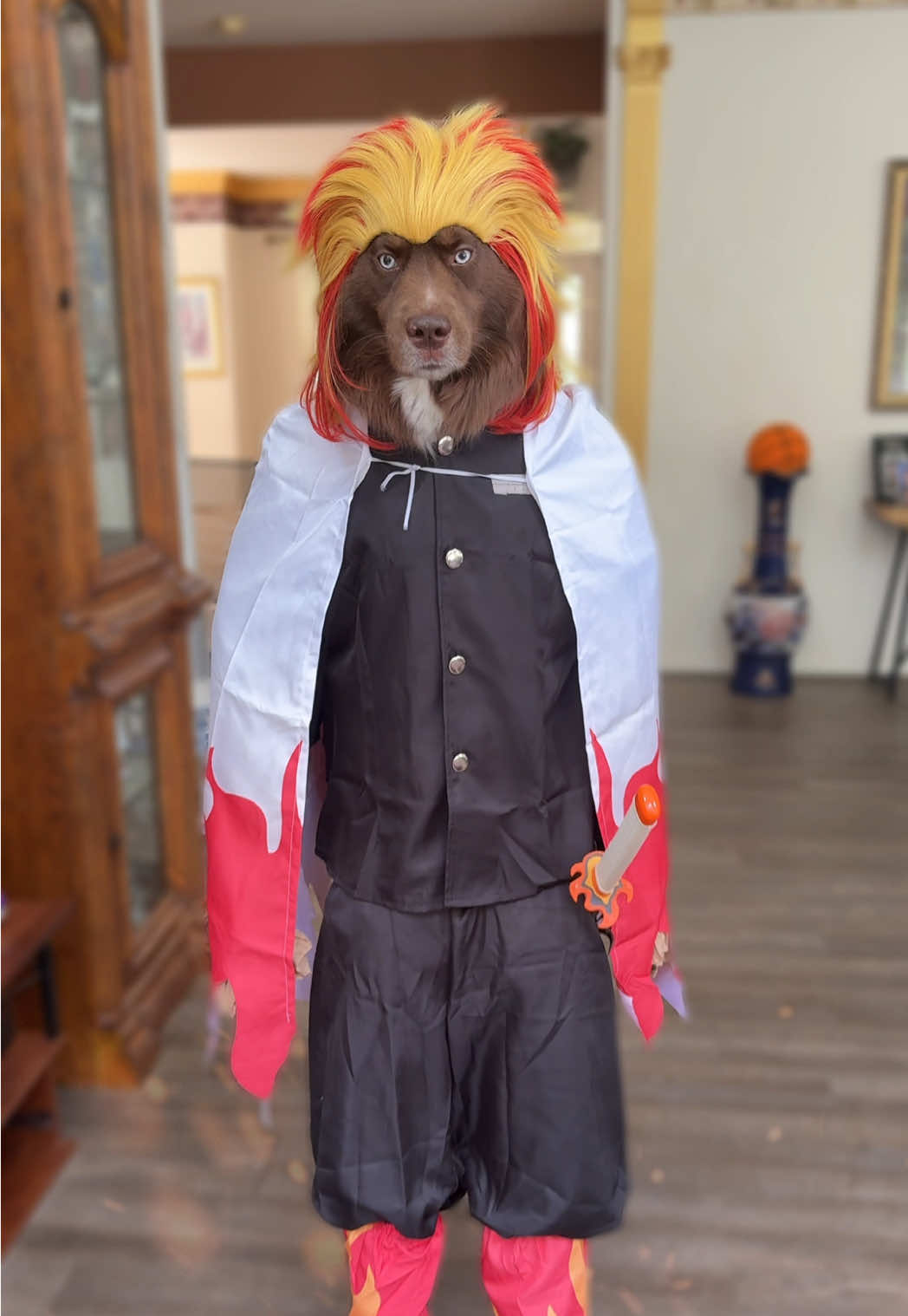 Set your heart ablaze  #kyojurorengoku #flamehashira #cosplay #demonslayer #dogsinclothes 
