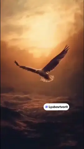 #сшивание с @Рецепты для тебя💕 #Lyubovtvorit #vo1n_sveta 