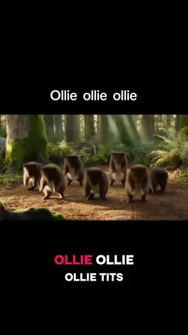 ollie ollie ollie tits in a trolley. #funnytiktok #fyp #foryoupage❤️❤️ #viral #song 