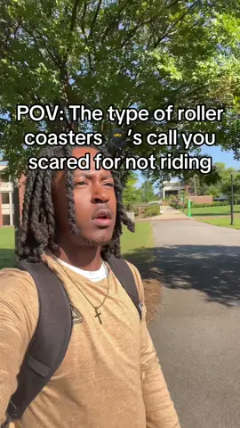 Would you ride any of these roller coasters? #pov #funny #rollercoaster #fyp #trendingvideo 
