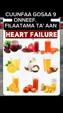 Fayyaa Onnee keessaaniif soorata gaarii Ta'an. Oro health tips. gorsaa Fayyaa Ogeessaa. different kinds of food that help the Heart. keep your heart in health. #oromotiktok #oro #oromo #oromotiktok❤️💚❤️ethiopiantiktok #oromoo #oromiatiktok🇪🇹🇪🇹❤️❤️❤️❤️ #oromia #oromoomusic @Gorsaa Ogeessaa 