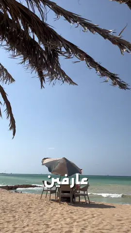 #العريش #سيناء #مصر