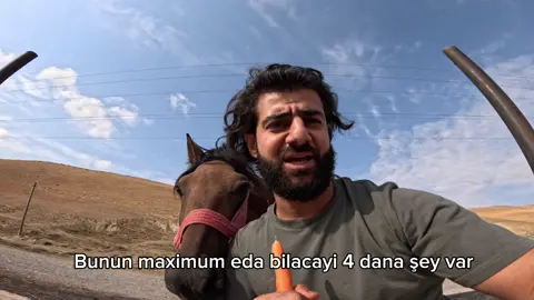 İnsan qədər təhlükəli varlığ yoxdu bu dünyada!