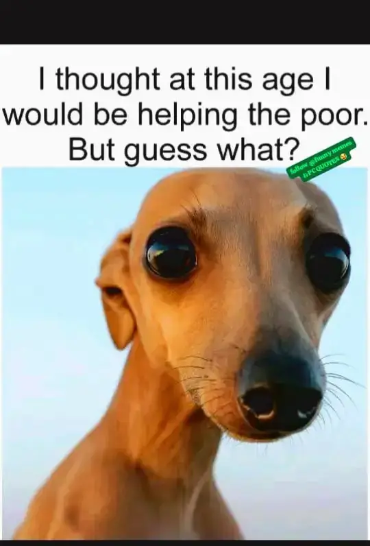 where are the poor people #vvcomedy🤣🤣🤣 #vickyvisham #vickyvishamcomedy @Okeny Yusuf 