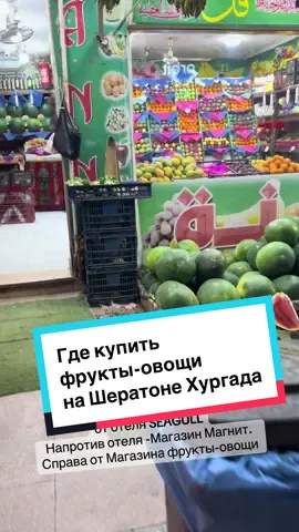 Где купить фрукты-овощи на Шератоне Хургада . Олна из овощных лавочек по адекватным ценам ✅ #egypt🇪🇬 #egypthurghada🇪🇬 #hurghada♥️ #овощифруктыхургада #шератонхургада 