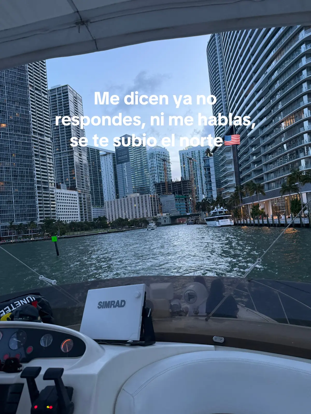 Real #fy #fyoupage #usa #real 