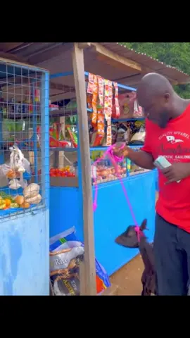 #fypツ #akabenezer #fypp #ghanatiktok🇬🇭 