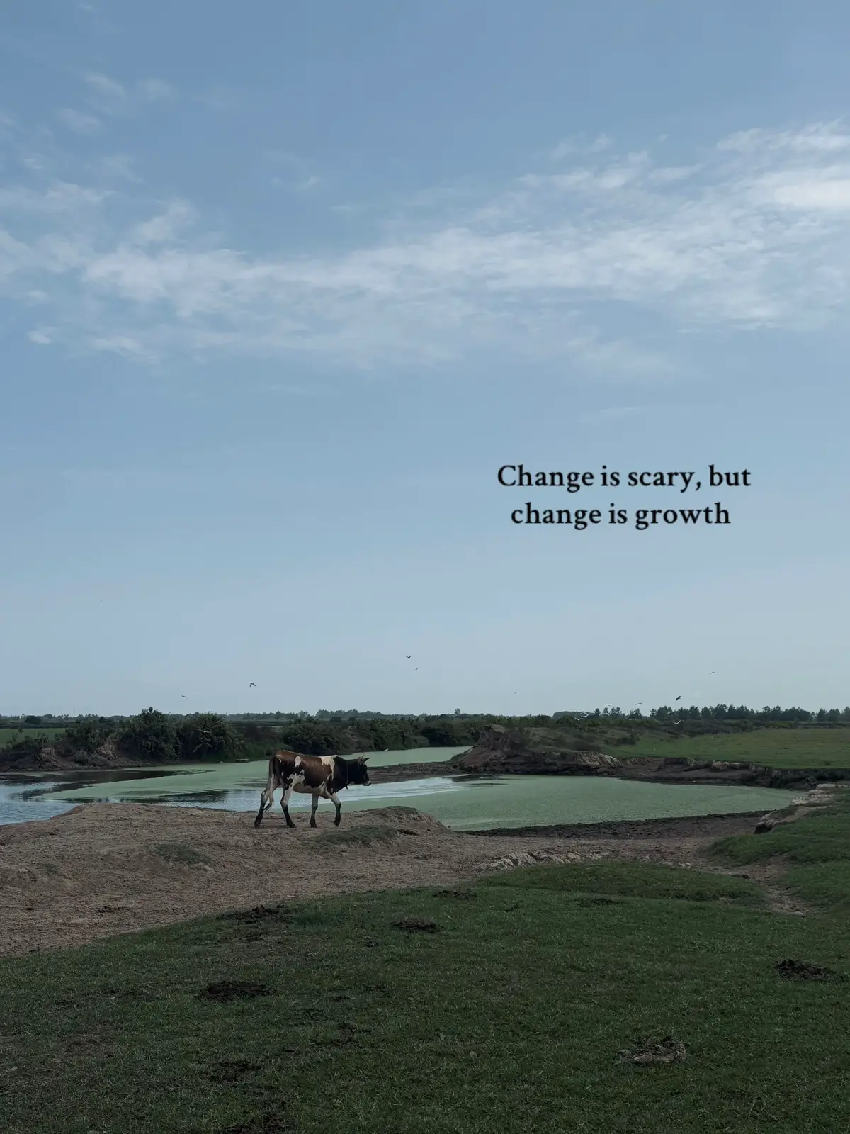 #nature #sky #sunsets #quotesaesthetic #fyp 