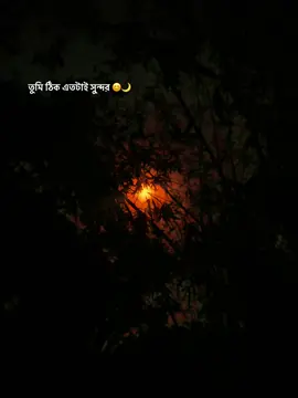 Blood 🩸 moon 🌙 #bloodmoon #trending #vairal #trending 