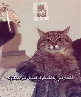 #ناجح_في_اخفاء_حزنه #حزن #كسر_خاطر #فشل #وجع 