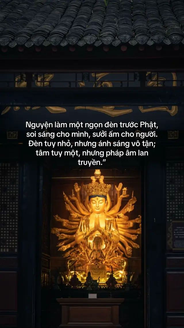 Nguyện làm một ngọn đèn trước Phật, soi sáng cho mình, sưởi ấm cho người. Đèn tuy nhỏ, nhưng ánh sáng vô tận; tâm tuy một, nhưng pháp âm lan truyền.” #phatphapnhiemmau #phattaitam #phatday 