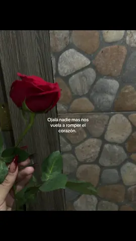 Ojalá❤️. #contenido #videosbonitos #fyppppppppppppppppppppppp #abcxyz #rosa 