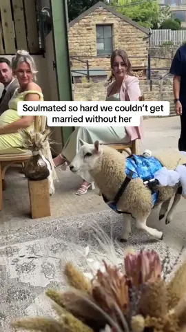 She may have eaten her flowers but she was THE BEST ring bearer for us 🥹❤️ 