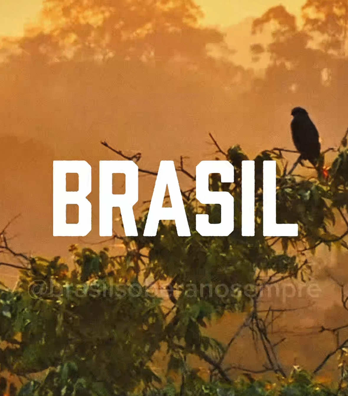Viva nossa INDEPENDÊNCIA. Viva a nossa SOBERANIA. #lula #soberano #brasilsoberano #politica #bolsonaro