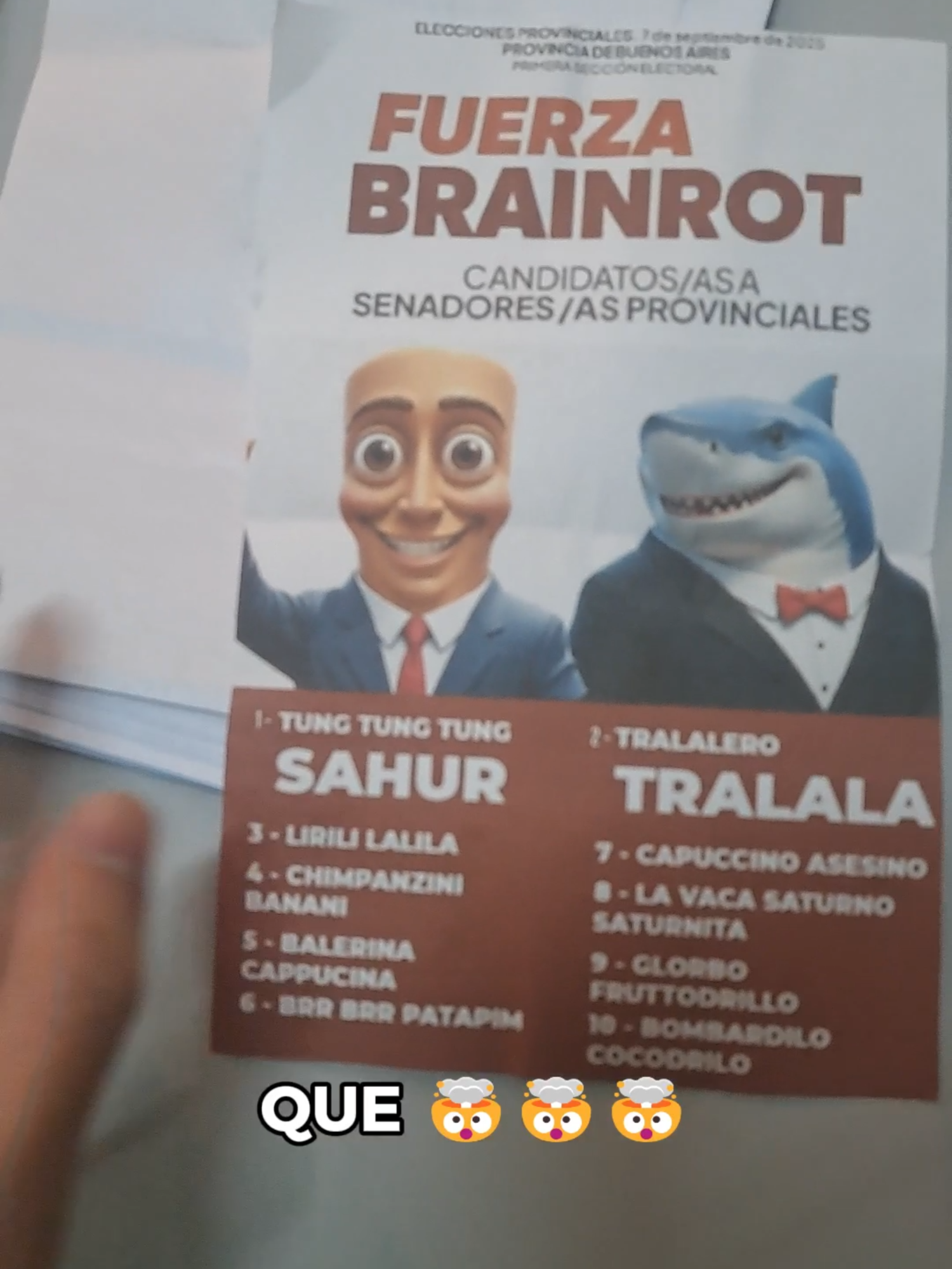 FUERZA BRAINROT ELECCIONES 2025 🥵 #elecciones2025 #politica #argentina #brainrot #stealabrainot #foryou #fyp