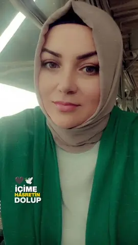 #CapCut #yeniakım #yenişablon 