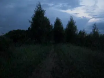 telegram channel — msngbyss