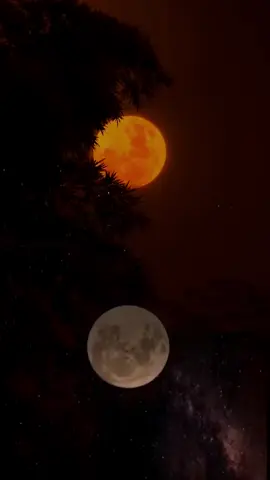 allow noo dambi dhaaf yaa rabi 🤲🤲😭😭