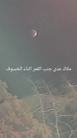 ملال عدى اثناء خسوف القمر#تركيا🇹🇷 #هاتاي_الريحانية #سوريا #السعودية🇸🇦 #فلسطيني🇵🇸 