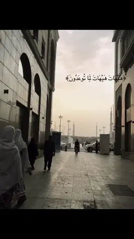 #foryou #fyp #viral #quranrecitation 🤍