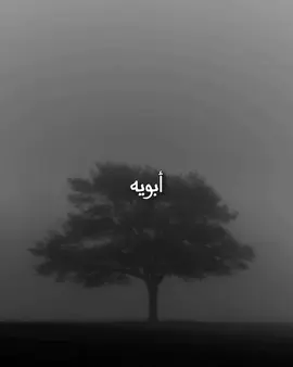 مَعاجبني🗿🗿.                                                                                 #باسم_الكربلائي #الاب #اهل_البيت_عليهم_سلام #مشاهدات #العراق 