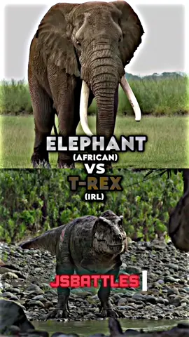 Elephant vs T-Rex #elephant #trex #edits #fyp #jsbattles     