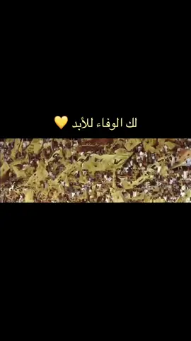 نادي الوطن 💛💪 #الكويت #qadsia #اكسبلور #القادسيه 