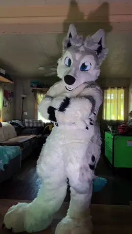 Let me live bro 🥲 #furry #wolf #fursuit #furrycommunity #silentsuiter 