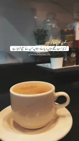 CHAI LOVERS 🤎 پر سکون لمحات ۔۔ #chai #qoutes #quranrecitation #foryou #viralvideo 