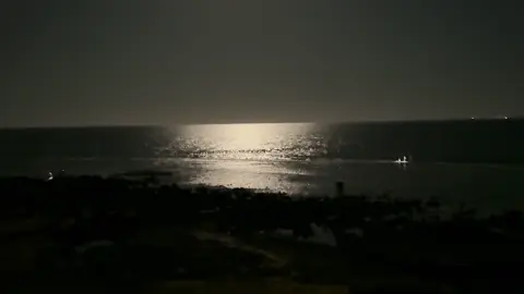 #alwajh 