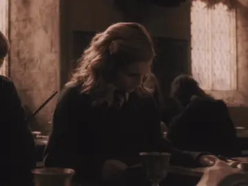 hermione jean granger || #hermionegranger #edit #hpedit #fyp #xyzbca #actives #fall #cozy #hermionegrangeredit #aesthetic #emmawatson #moodboard 