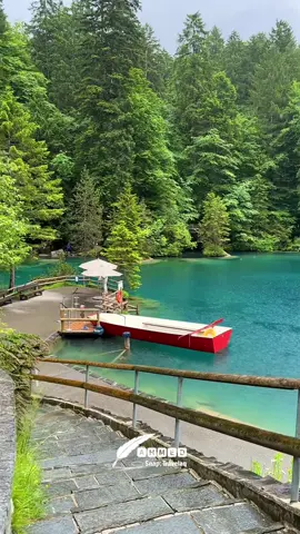 . Blausee Switzerland 🇨🇭 . ‎ البحيرة الزرقاء سويسرا  .  . . . . . . ‎‏#fyp #foryou #Switzerland #travelaq #travel                  ‎‏‎       