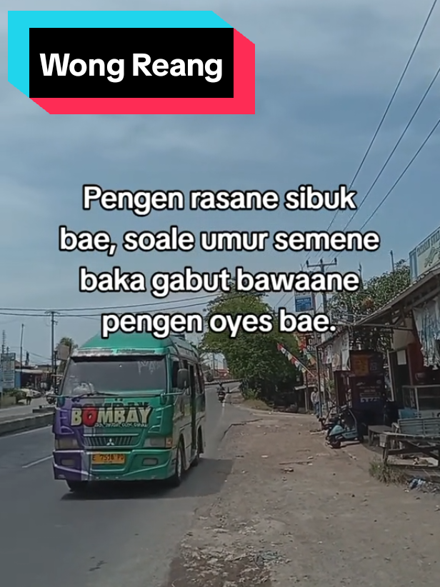 #tarling_indramayu_cirebon #wongreang #indramayupride🏴‍☠️ #cirebonpride🏴‍☠️ #tarling_indramayu_cirebon 