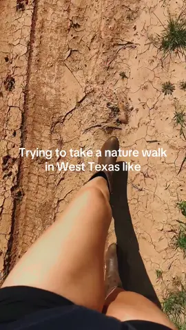 We’ll make it work🌾😭😭 #west #texas #nature