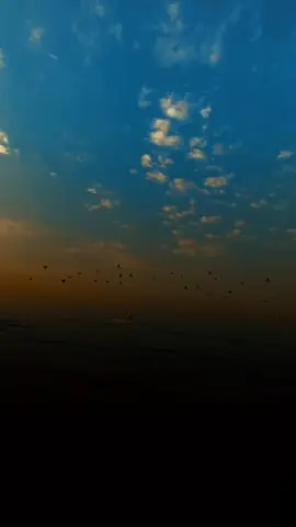 #CapCut والله تسوة ابجيلك شمابيها ماي مع شعر #المصمم_علوش85 #ضاحي_الهوازي #شعر #اكسبلورررررررررررررررررررر💥🌟💥🌟💥💥🌟🌟🌟🌟🌟 