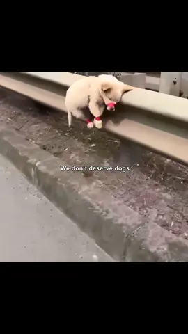 Watch till the end.#hopecore #core #positivity 