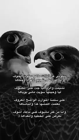 #قصايد_شعر #fyp 