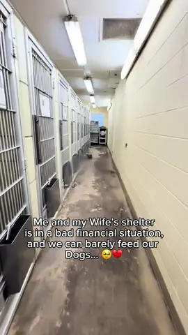 Any support helps🫶🏼 #dogsoftiktok #doglover #puppy #dogshelter 